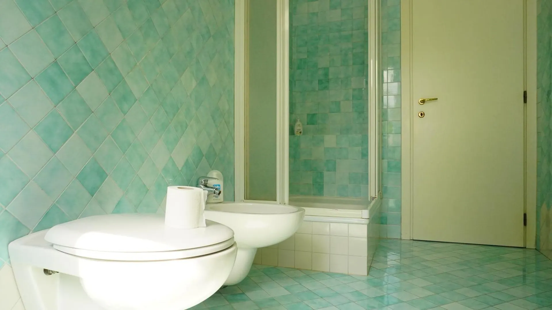 Apartment Appartamenti Villa Lina Desenzano del Garda